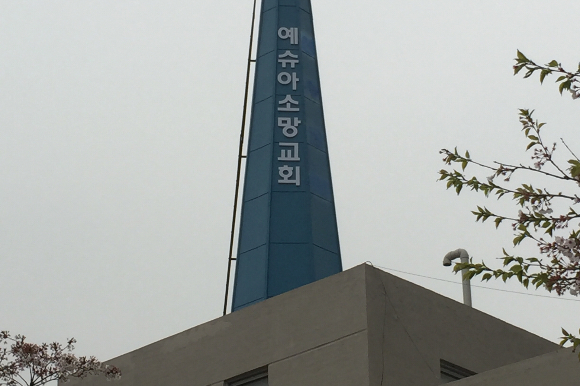 예슈아소망 